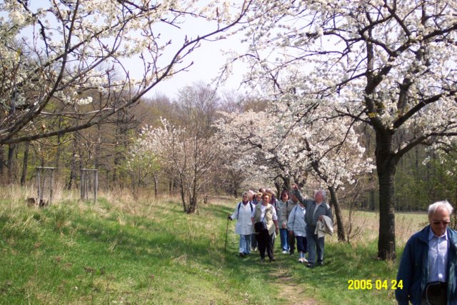 002009.jpg
